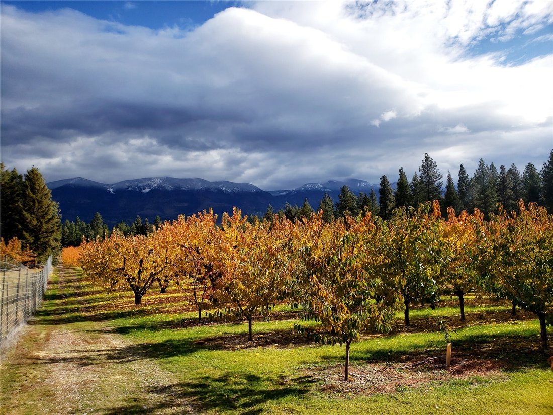 Land in Polson, Montana, United States 4 - 13841497
