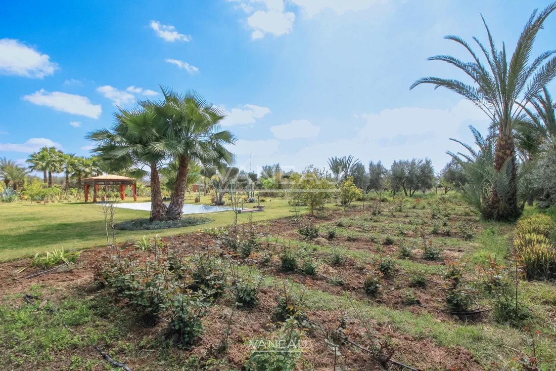 House in Lahebichate, Marrakesh-Safi, Morocco 1 - 14338972