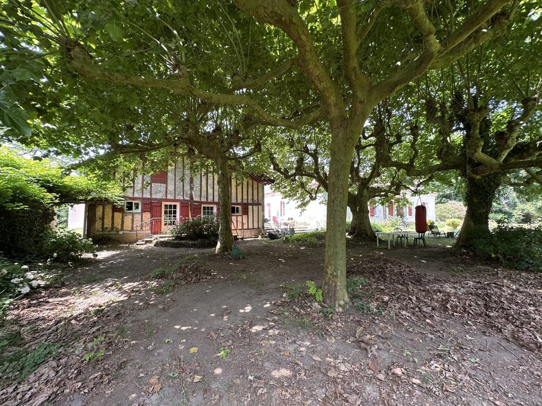 Meilhan’s Timeless Haven: A 1790 Château Reborn in Golden Light - 5