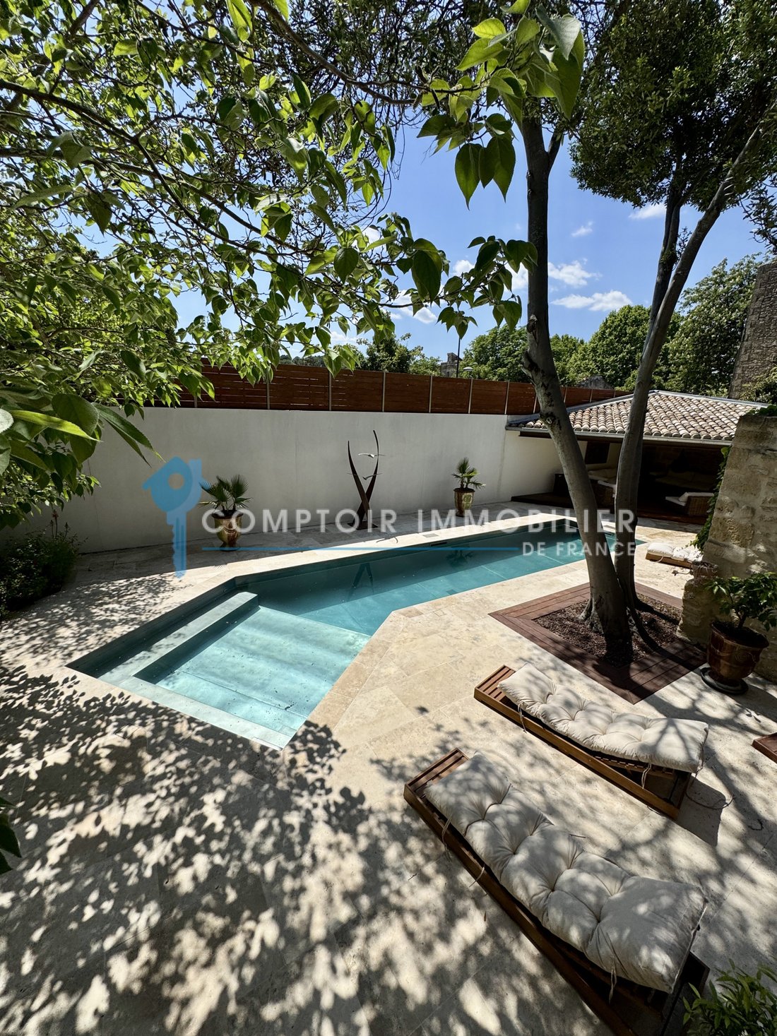 Altro a Aigues-Vives, Occitania, Francia 2 - 15336857