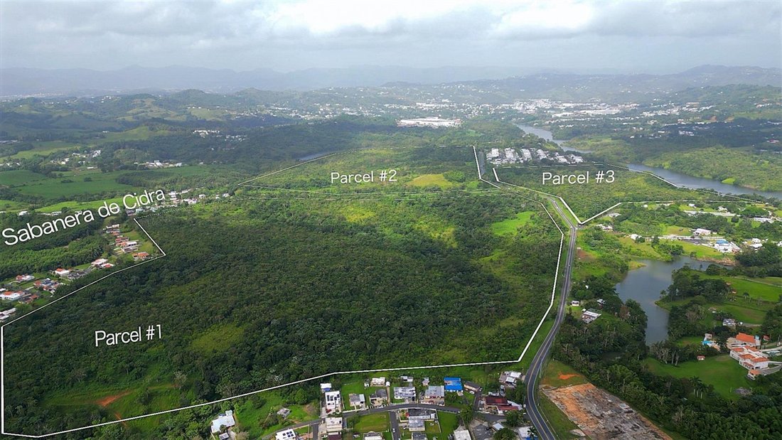 Land in CIDRA, PR, United States 3 - 15462755