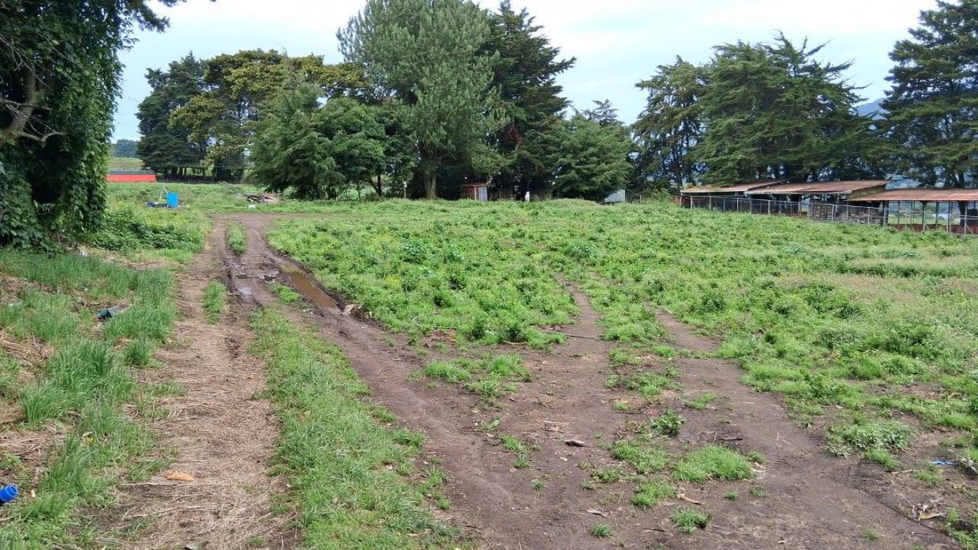 Farm Ranch in Cerro Punta, Chiriquí Province, Panama 3 - 15779220