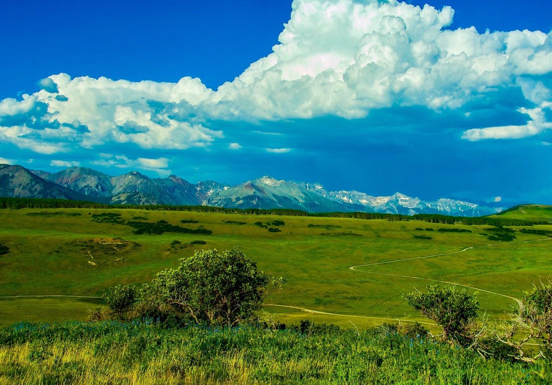 Land in Placerville, Colorado, United States 2 - 15778916