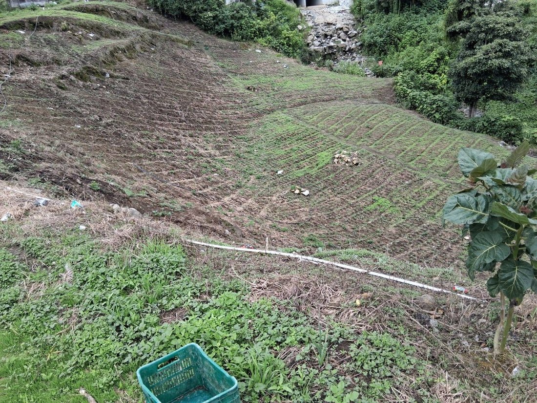 Farm Ranch in Cerro Punta, Chiriquí Province, Panama 4 - 15779220