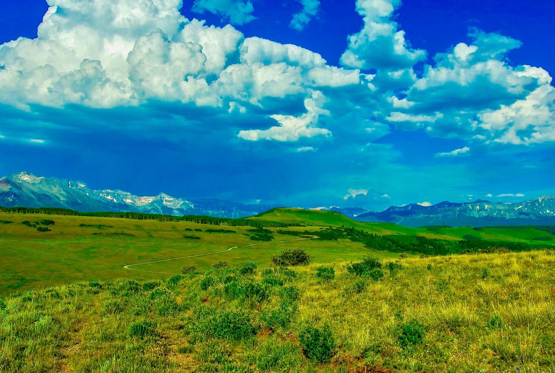 Land in Placerville, Colorado, United States 3 - 15778916