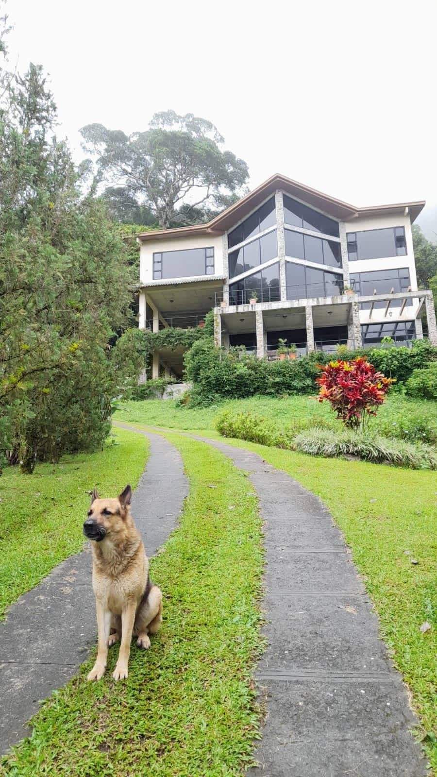House in Anton Valley, Coclé Province, Panama 2 - 15779213