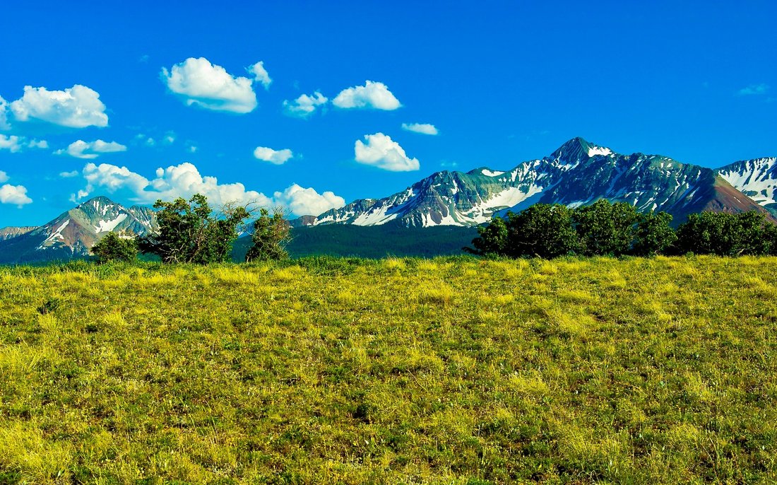 Land in Placerville, Colorado, United States 5 - 15778916