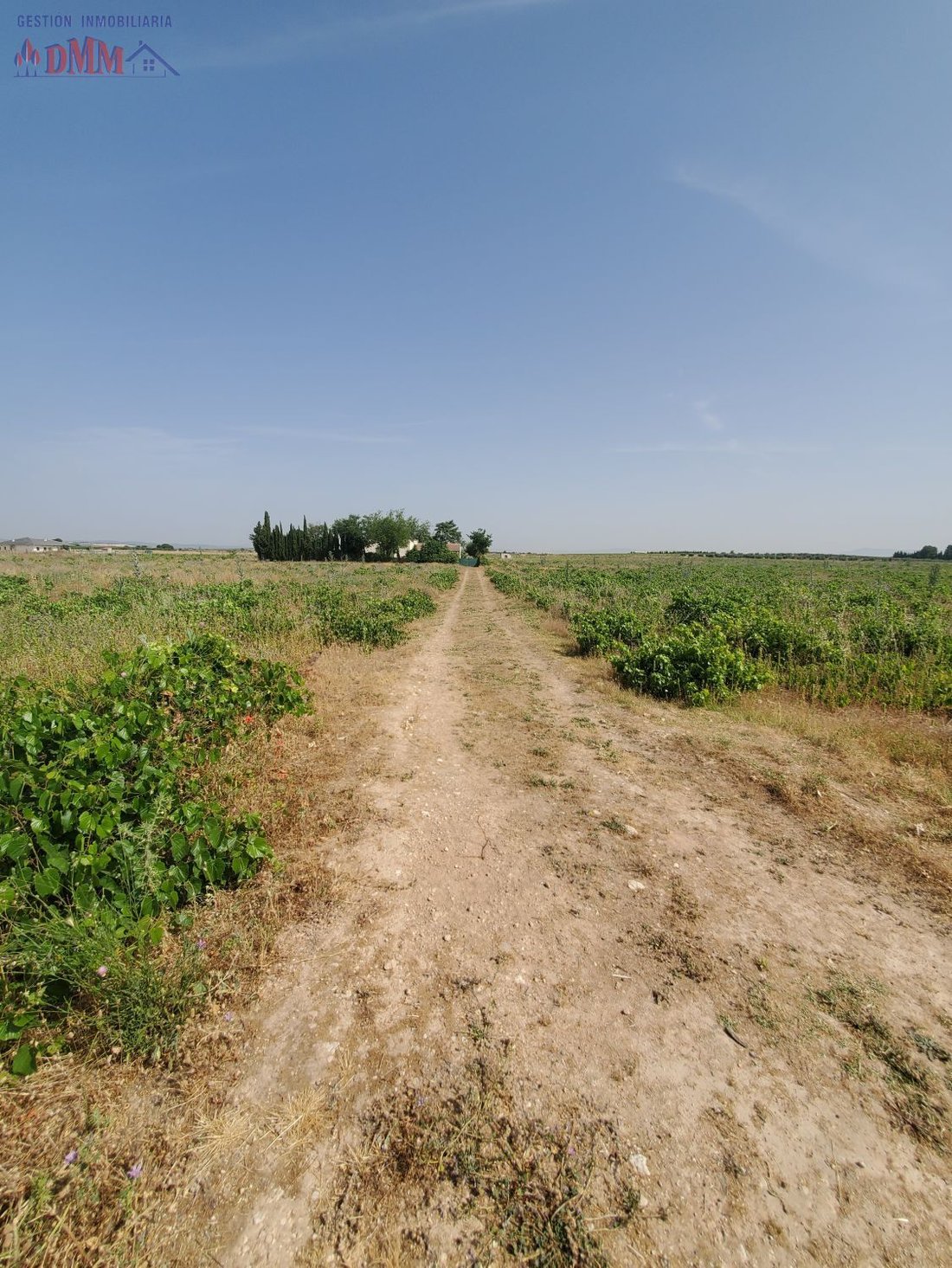 Farm Ranch in Carrion de Calatrava, Castile-La Mancha, Spain 2 - 15776770