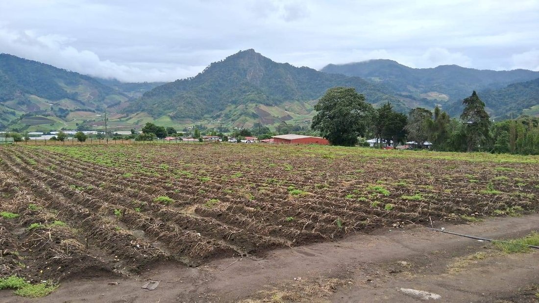 Farm Ranch in Cerro Punta, Chiriquí Province, Panama 1 - 15779220