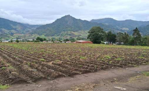 Corps de ferme à Cerro Punta, Chiriquí, Panama 1