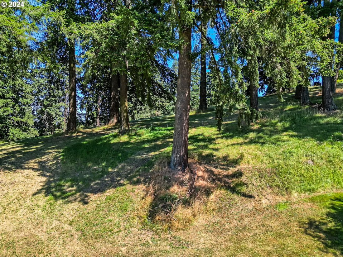 Land in Eugene, Oregon, Vereinigte Staaten 5 - 14634277