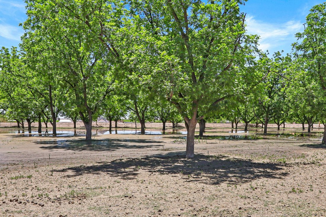 Estate in Anthony, New Mexico, United States 3 - 15778831