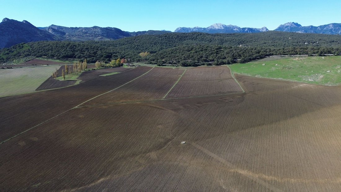 Farm Ranch in Ronda, Andalusia, Spain 4 - 15776709