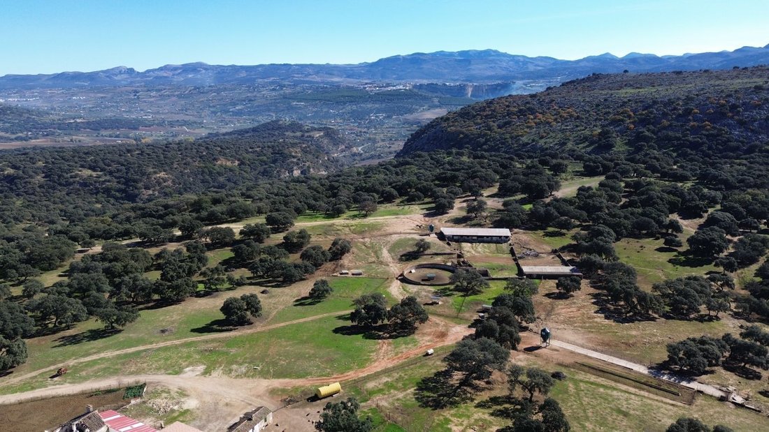 Farm Ranch in Ronda, Andalusia, Spain 3 - 15776709