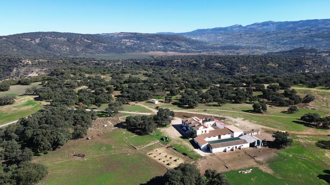 Farm Ranch in Ronda, Andalusia, Spain 2 - 15776709