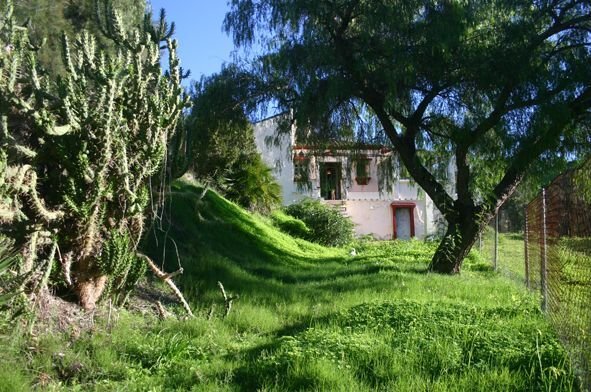 Land in Benahavis, Andalusia, Spain 4 - 15777248