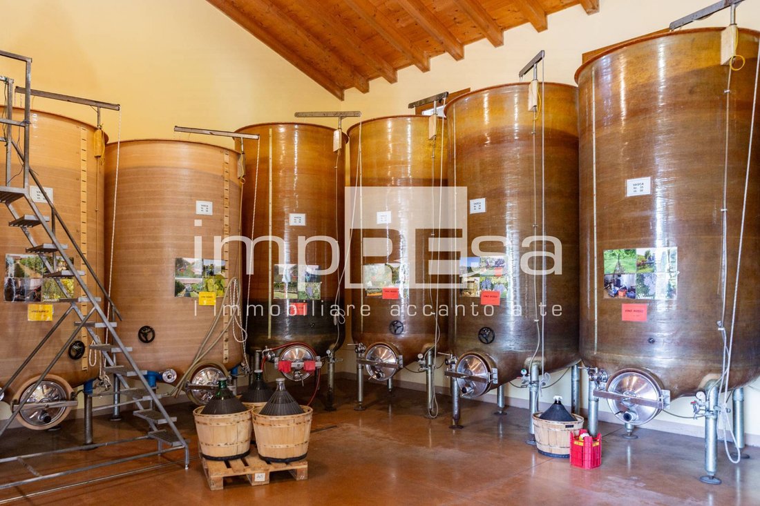 Farm Ranch in Ormelle, Veneto, Italy 3 - 15779250