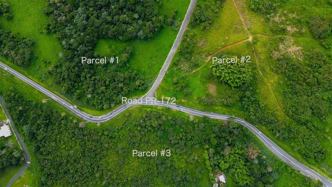 Land in CIDRA, PR, United States 4 - 15462755