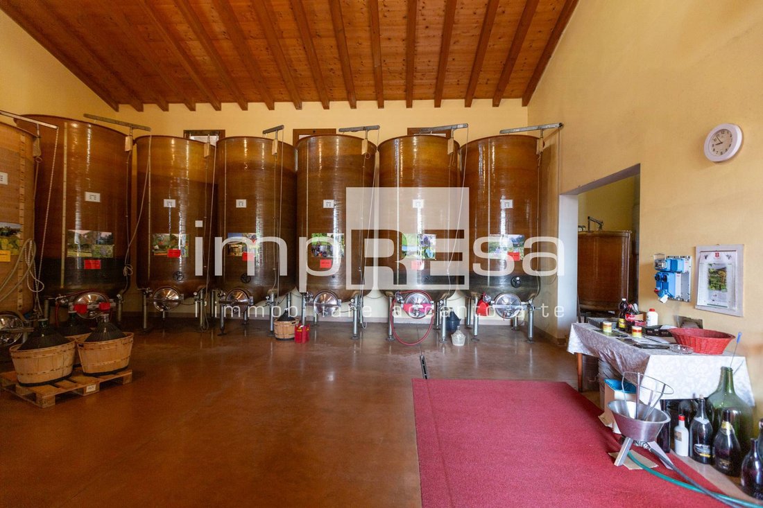 Farm Ranch in Ormelle, Veneto, Italy 5 - 15779250