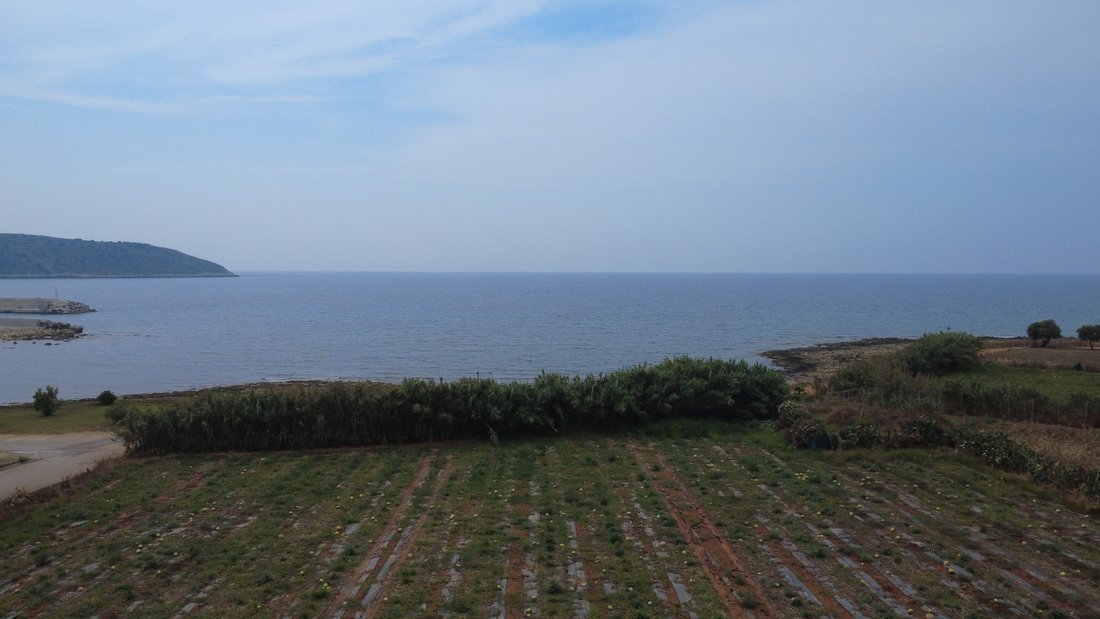 Land in Gargalianoi, Peloponnese, Western Greece and the Ionian, Greece 2 - 15782234