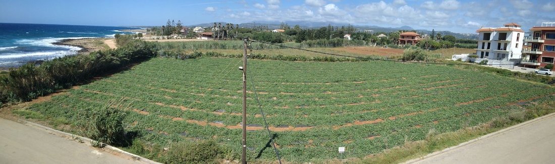 Land in Gargalianoi, Peloponnese, Western Greece and the Ionian, Greece 5 - 15782234