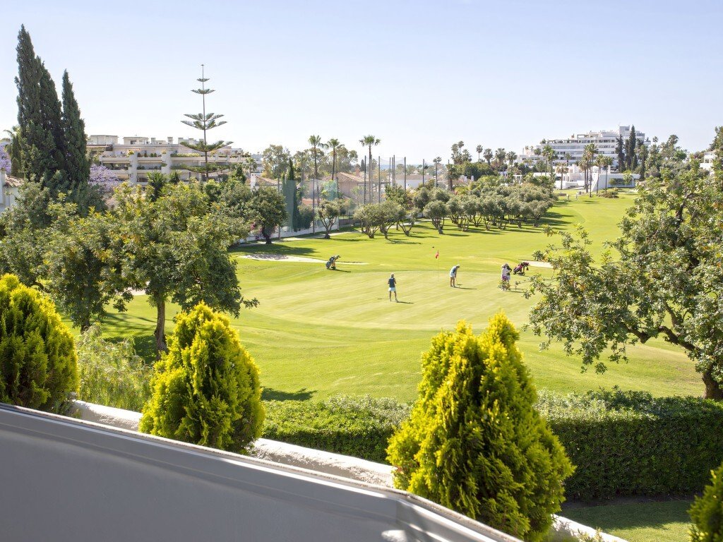 Apartment in Guadalmina Alta, San Pedro de Alcantara, Spain 1 - 15784923