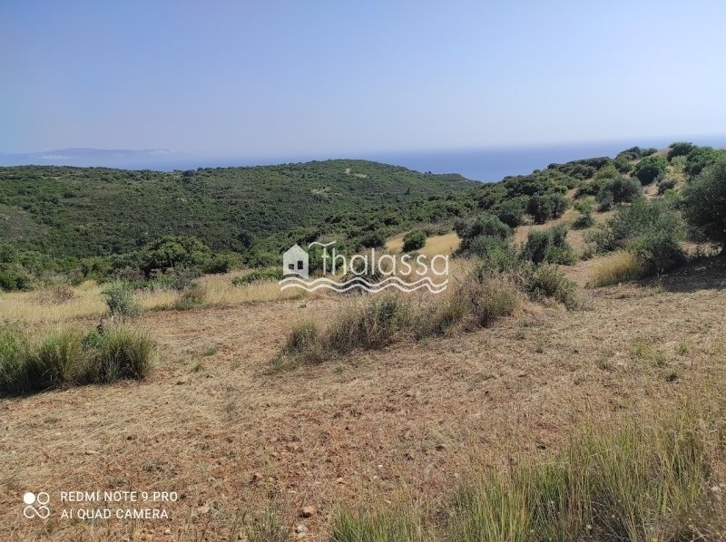 Land in Elios-Proni, Peloponnese, Western Greece and the Ionian, Greece 2 - 14085581