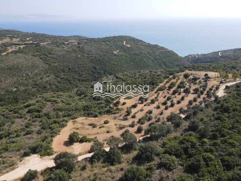 Land in Elios-Proni, Peloponnese, Western Greece and the Ionian, Greece 1 - 14085581