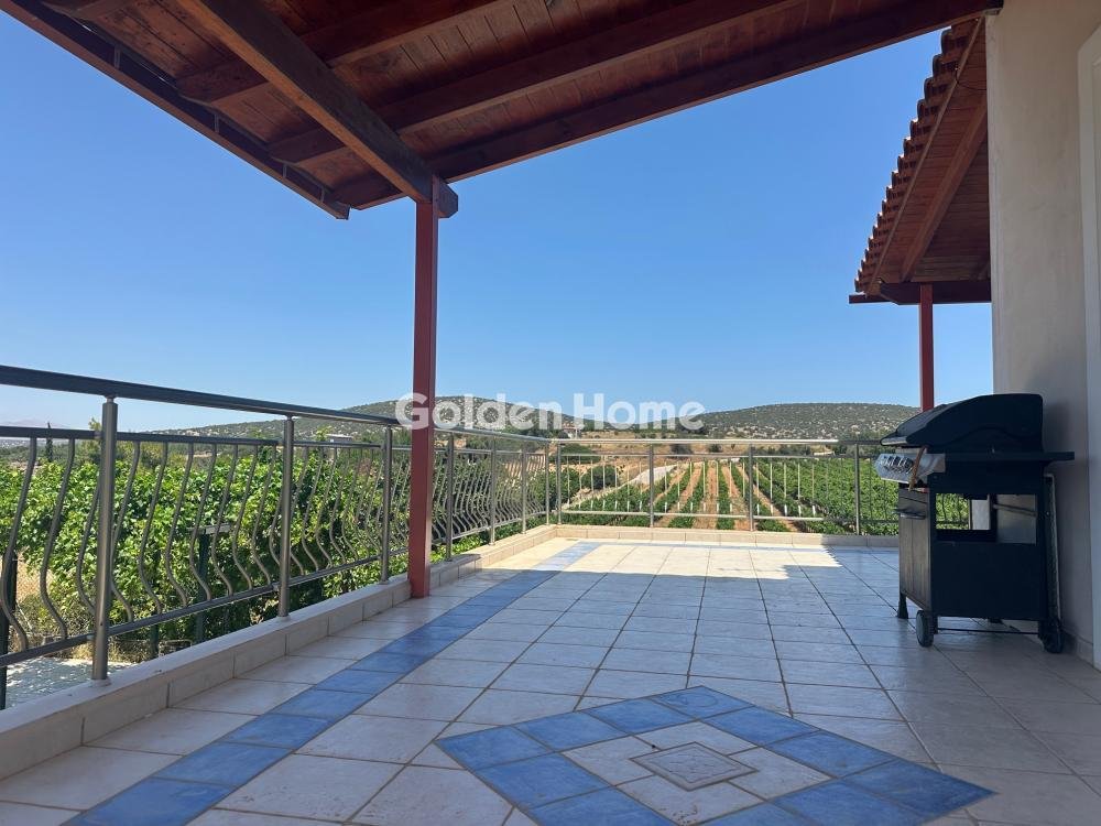 House in Markopoulo Mesogaias, Attica, Greece 3 - 15782982