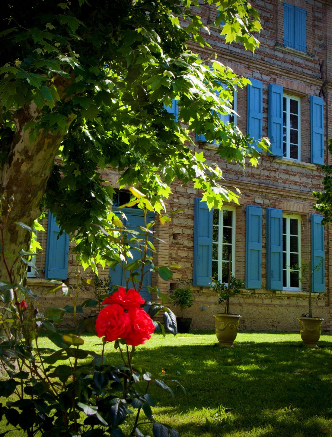 House in Peyrole, Occitania, France 2 - 15785531