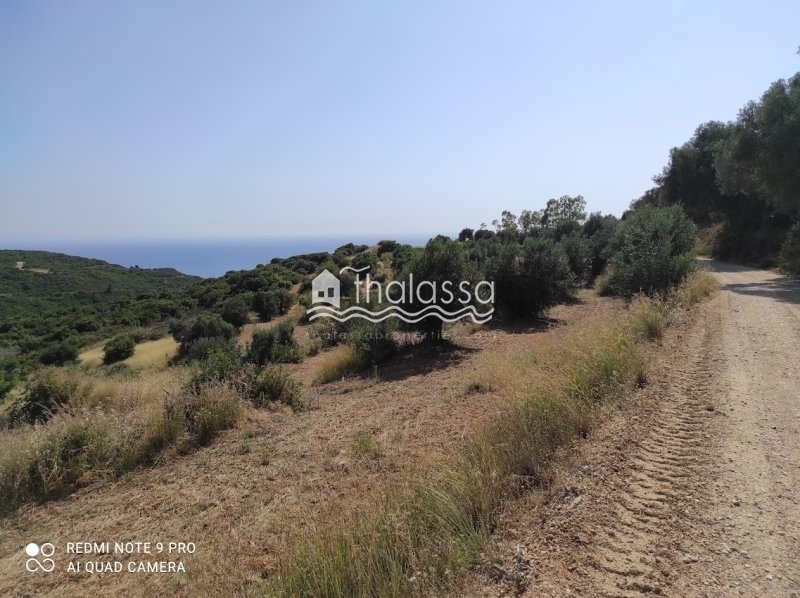 Land in Elios-Proni, Peloponnese, Western Greece and the Ionian, Greece 5 - 14085581
