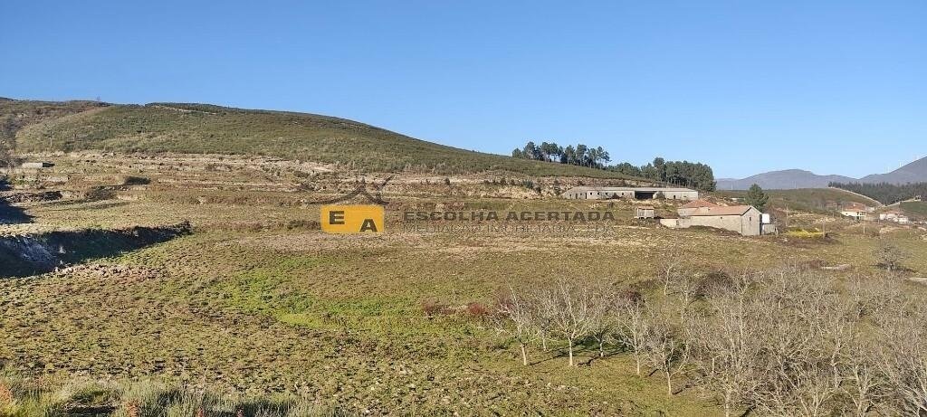 Farm Ranch in Gestation, Porto District, Portugal 5 - 15786074