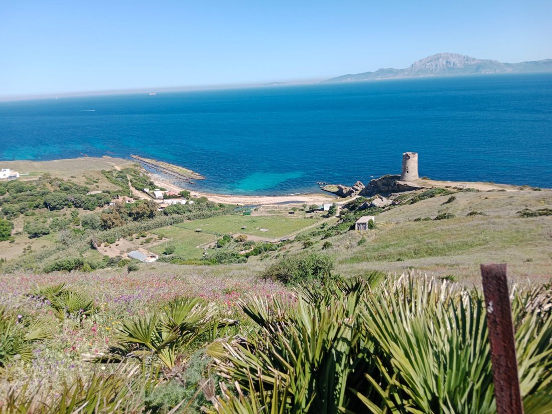 Land in Tarifa, Andalusia, Spain 1 - 15786502