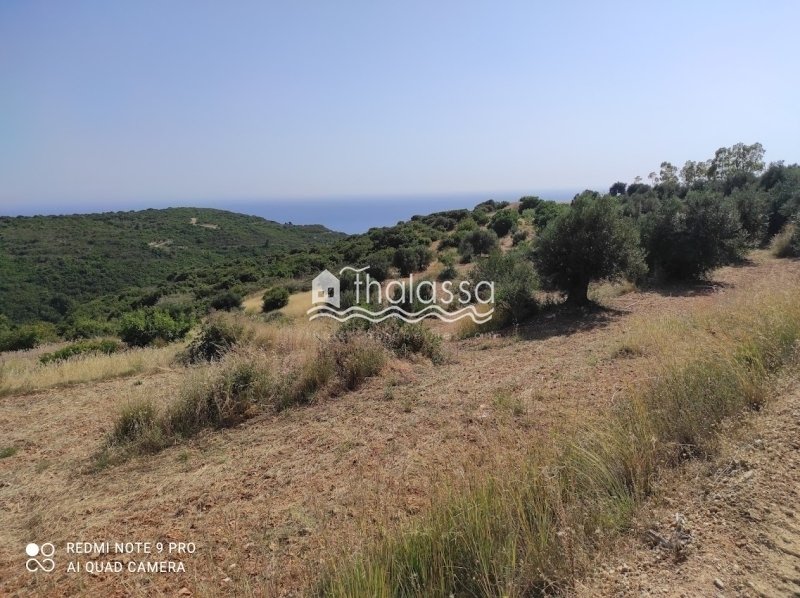 Land in Elios-Proni, Peloponnese, Western Greece and the Ionian, Greece 4 - 14085581