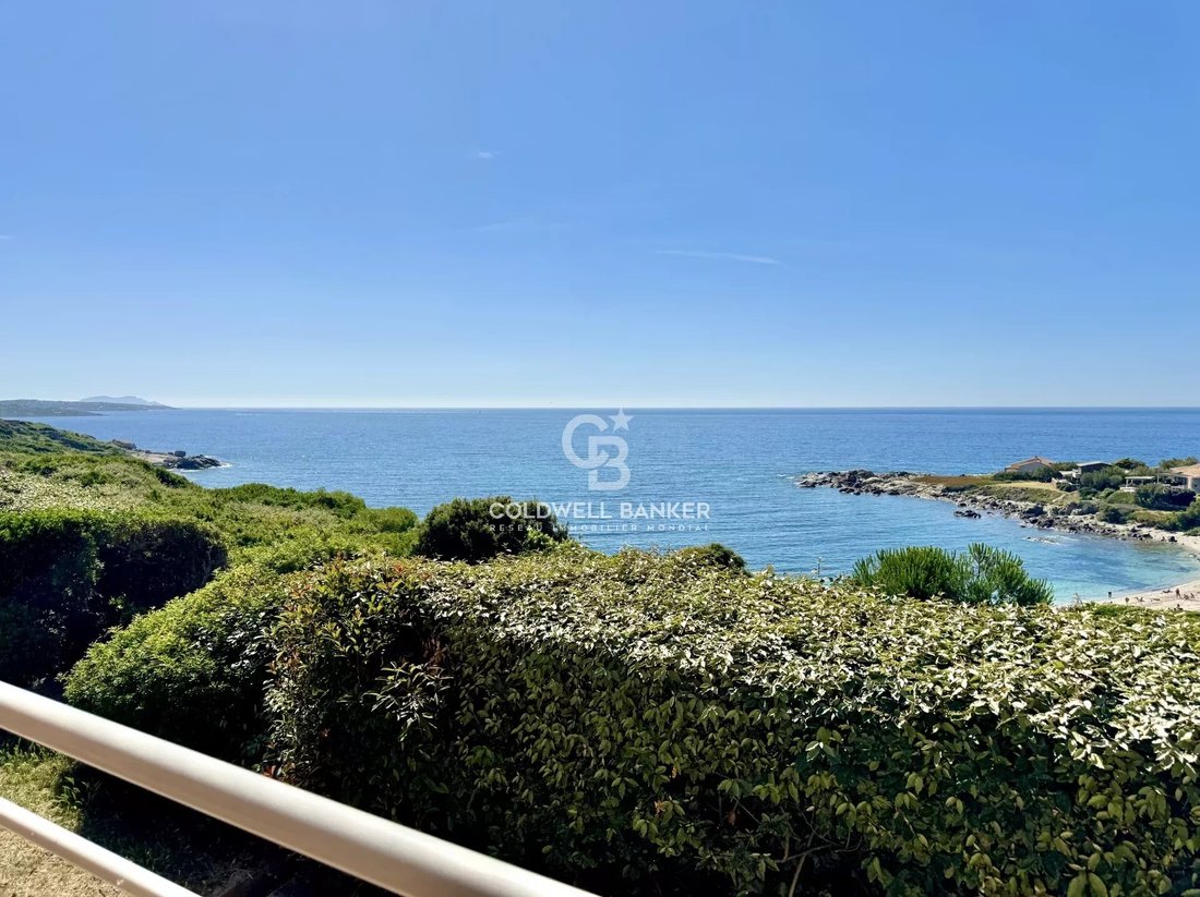 Villa in Corbara, Corsica, France 5 - 15784987