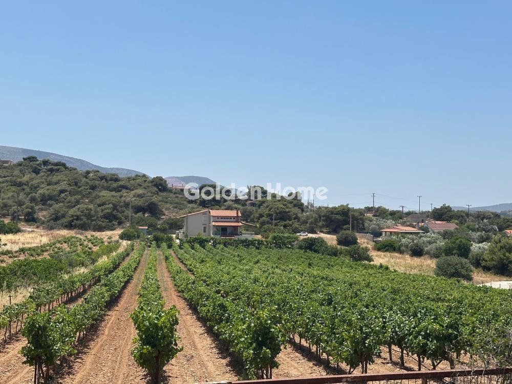 House in Markopoulo Mesogaias, Attica, Greece 2 - 15782982