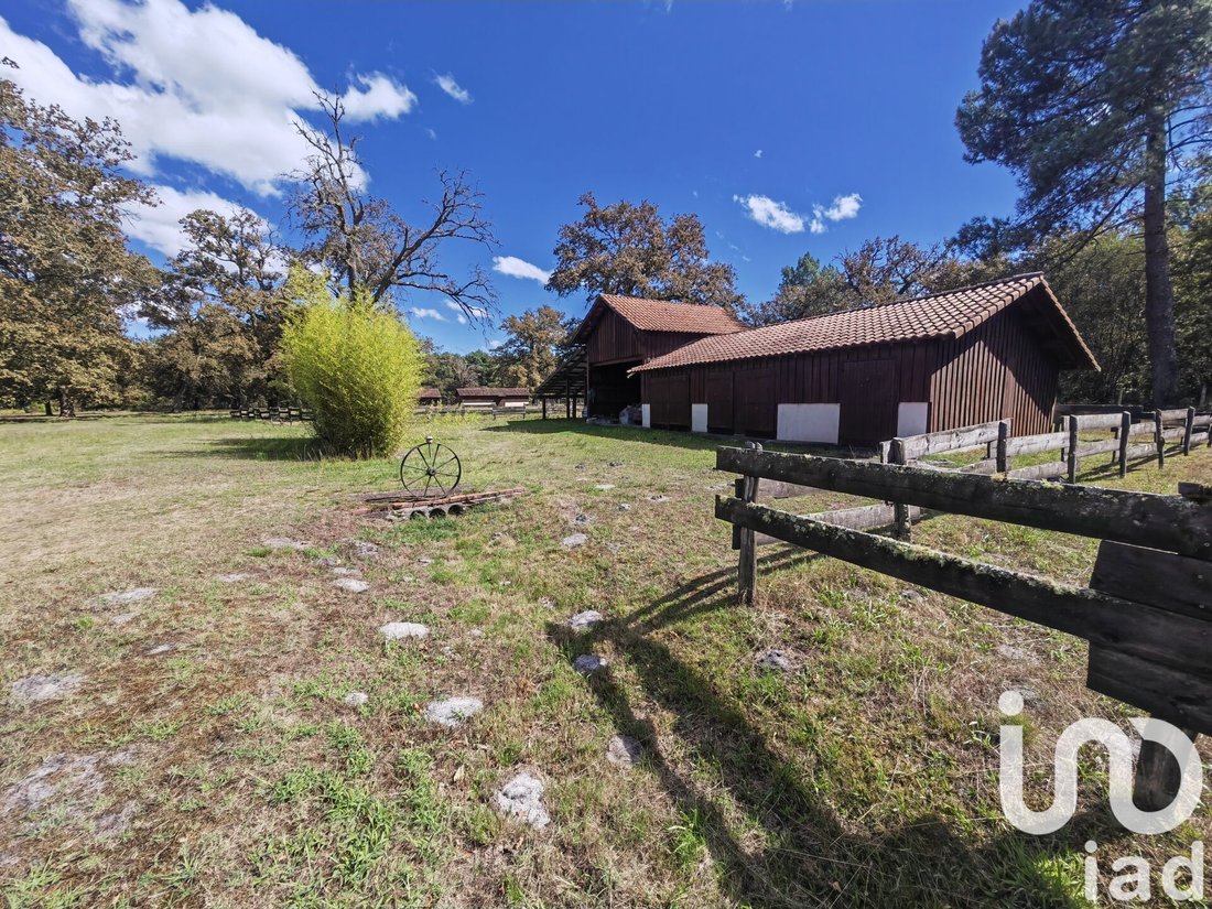 House in Luxey, Nouvelle-Aquitaine, France 4 - 15790188