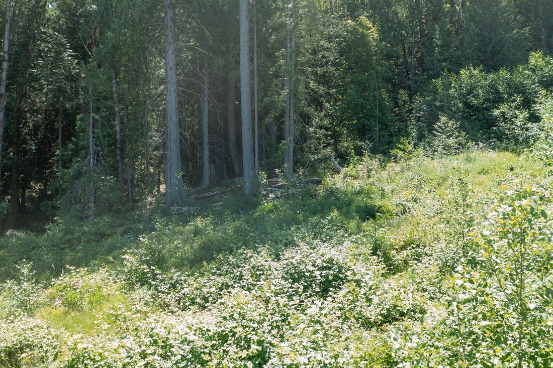 Land in Ladysmith, British Columbia, Canada 4 - 15790250