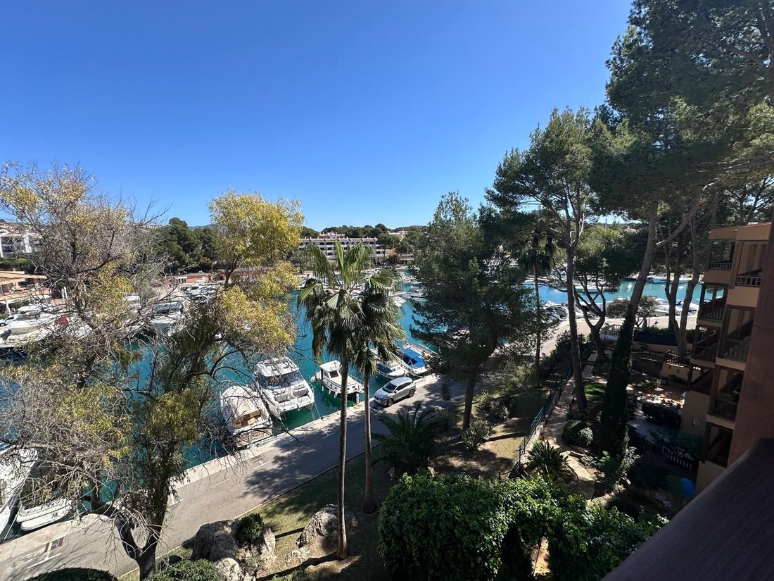 Apartment in Santa Ponsa, Balearic Islands, Spain 1 - 15790581