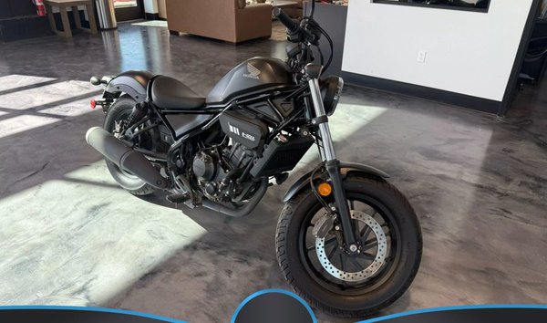 2022 Honda CMX300A (15790899)