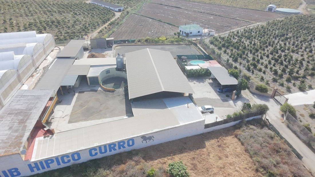 Farm Ranch in Torre del Mar, Velez-Malaga, Andalusia 3 - 15791052