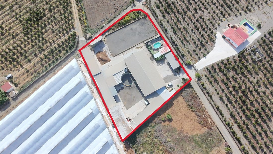 Farm Ranch in Torre del Mar, Velez-Malaga, Andalusia 5 - 15791052