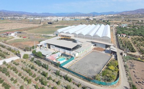 Azienda agricola a Torre del Mar, Vélez-Málaga, Andalusia 1