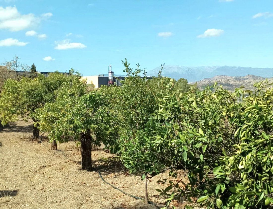 Corps de ferme à Coín, Andalousie, Espagne 2 - 15791138