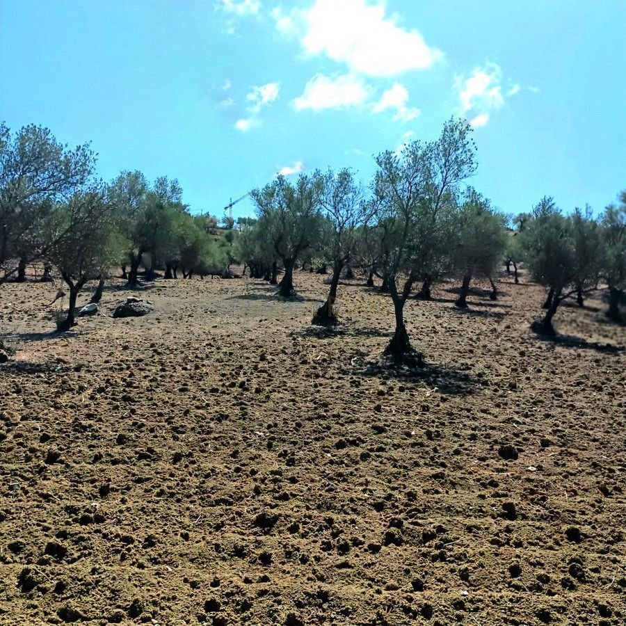 Corps de ferme à Coín, Andalousie, Espagne 4 - 15791138