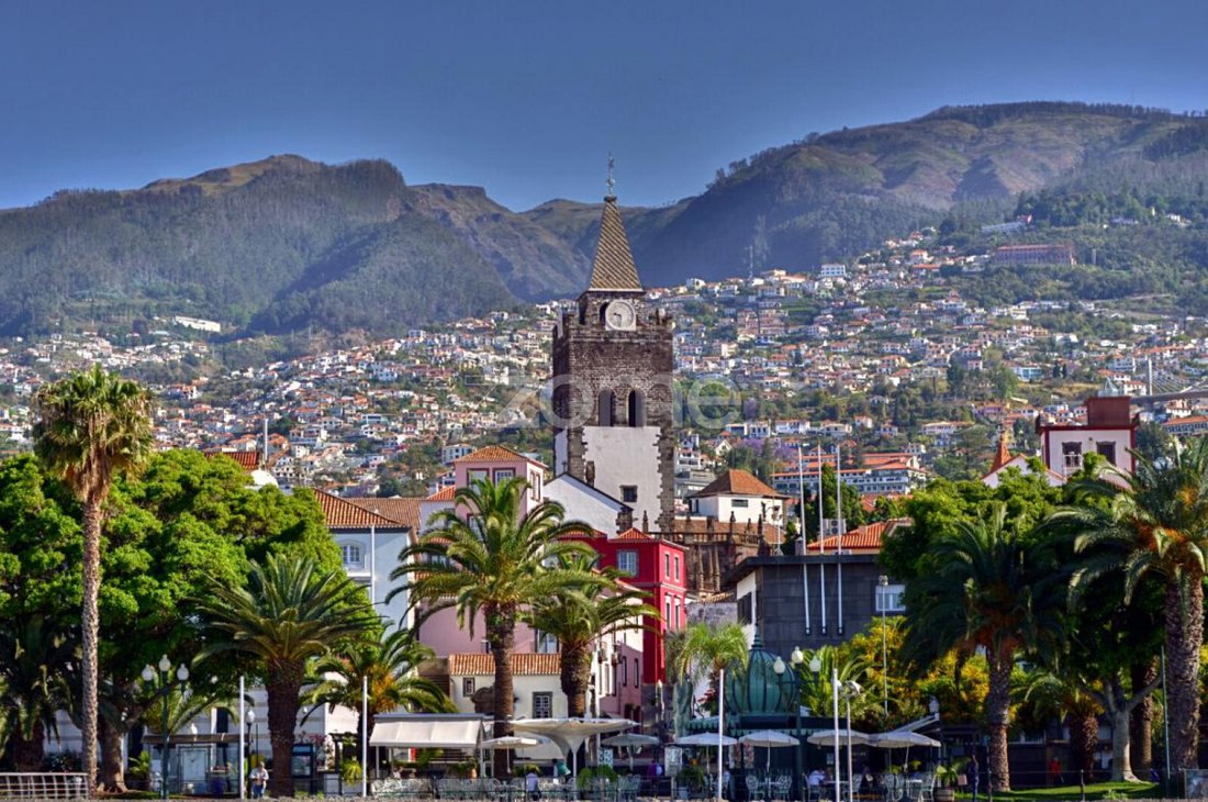House in Sao Martinho, Madeira, Portugal 4 - 15041369