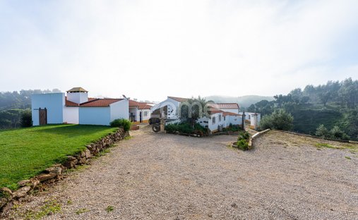 Finca in Tomar (Sao Joao Baptista) e Santa Maria dos Olivais, Distrikt Santarém, Portugal 1