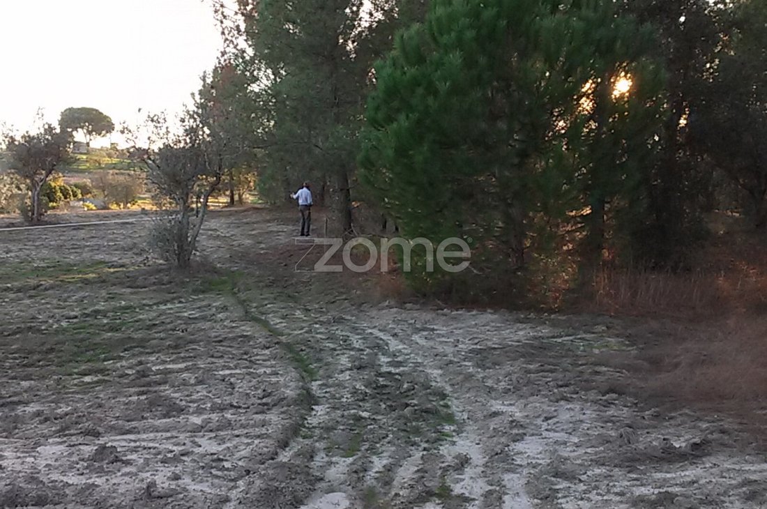 Land in Santana do Mato, Santarem District, Portugal 2 - 15492953
