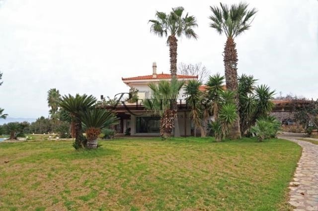 Villa a Anthidon Municipal Commune, Anthidon, Grecia 4 - 15792549