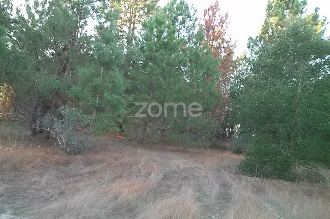 Land in Santana do Mato, Santarem District, Portugal 3 - 15492953